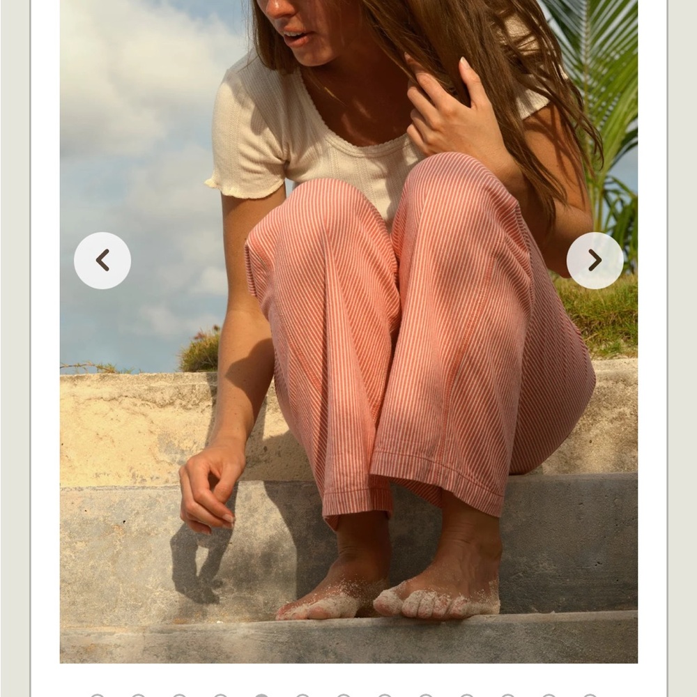 Mollusk Painter Pants pink railroad stripe